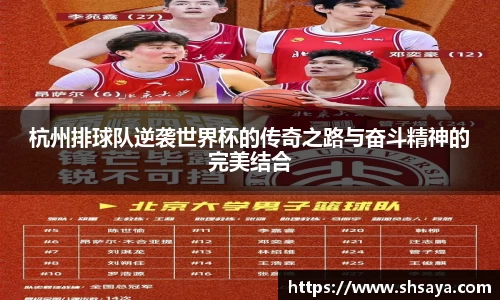 杭州排球队逆袭世界杯的传奇之路与奋斗精神的完美结合